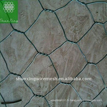 L&#39;offre de prix le plus bas Gabion mesh, Gabion box